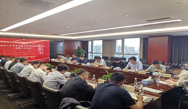 公司纪委组织召开2025年上半年党风廉政建