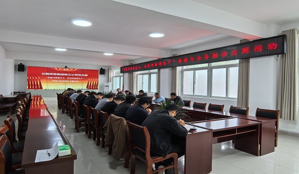 第三公司党支部组织开展“党建引领聚合